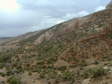 Great Monocline, east flank, Uncompahgre Plateau, Colorado National Monument