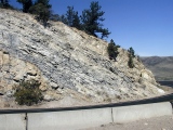 South Platte sandstone of the Dakota Group, Dakota Hogback, near Denver, CO