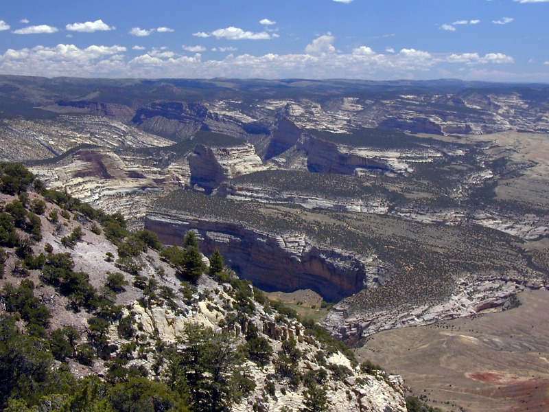 Colorado dinasour national part