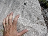 Fine-grained granodiorite, Crater Lake, Maroon Bells, Elk Range, CO