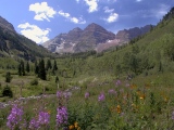 The rocks of the famous Maroon Bells were lifted, hardened and grayed by an unexposed Oligocene sill.