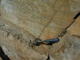 Cross-bedding in 1.7 Ga quartzite, Golden Gate State Park, Front Range, CO