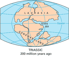 Pangea assembled at 200 Ma; courtesy USGS, This Dynamic Earth, http://pubs.usgs.gov/publications/text/dynamic.html