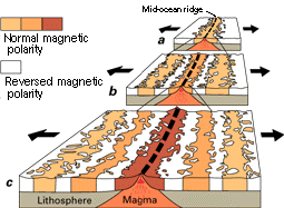 Seafloor spreading and generation of magnetic stripes; courtesy USGS, This Dynamic Earth, http://pubs.usgs.gov/publications/text/dynamic.html
