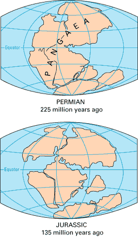 Pangea assembled at 225 Ma and disassembled at 135 Ma; courtesy USGS, This Dynamic Earth, http://pubs.usgs.gov/publications/text/dynamic.html