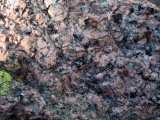 Coarse pink Pikes Peak granite with green lichen near the summit of Devils Head, Rampart Range