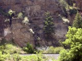 Sawatch Fm beds on the south bank of Colorado River midway through Glenwood Canyon