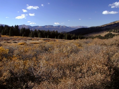 Peaks 1-9 of the Tenmile Range, from Boreas Pass