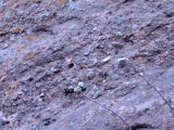 Coarse basal conglomerate of the Pennsylvanian-Permian Fountain Formation, Red Rocks Park, CO