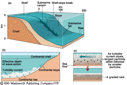 Continental shelf, slope and rise showing submarine canyon and turbidity current